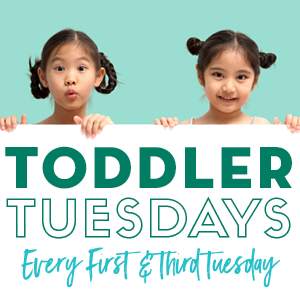Toddler Tuesdays